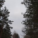 ���� �����, �������, 67 ��� - ��������� 23 ����� 2019 � ������ ���� ����������