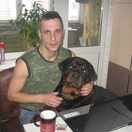 �����, ����, 50 ���