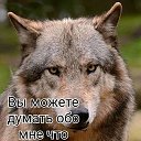 ���� ����, �����, 60 ��� - ��������� 15 ����� 2019 � ������ ���� ����������