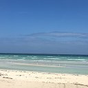 ���� �����, ����-���������, 43 ���� - ��������� 1 ����� 2019 � ������ ���� ����������