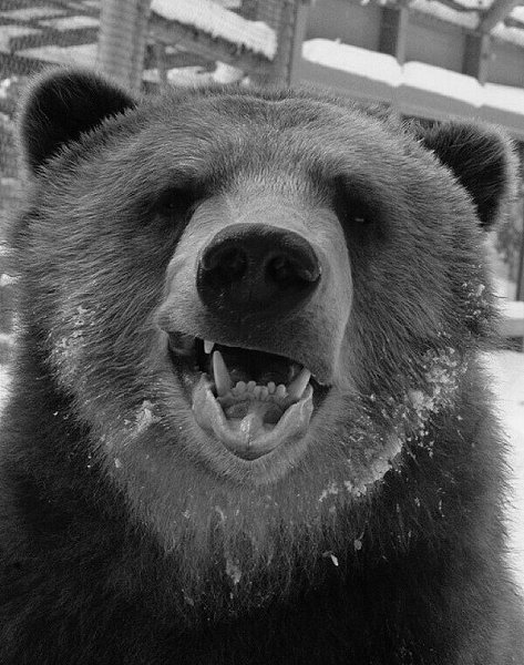 ���� ������ ���� �����: ���� ���� �� ��� �������.., ������..., ����� �������� � ������� ������!....