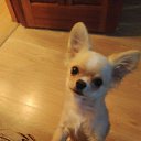 ���� �����, ������, 42 ���� - ��������� 7 ������� 2019 � ������ ���� ����������