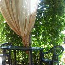 ���� ����, ���������, 82 ���� - ��������� 8 �������� 2018 � ������ ���� ����������