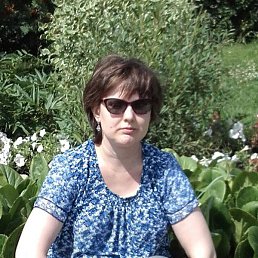, 37 , 