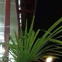 ���� �����, ����� - ��������� 1 �������� 2018 � ������ ���� ����������