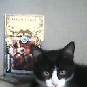 ���� �������, ����, 46 ��� - ��������� 14 ����� 2019 � ������ ������ ��������