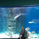 ���� �����, ������, 37 ��� - ��������� 20 ����� 2019 � ������ ���� ����������