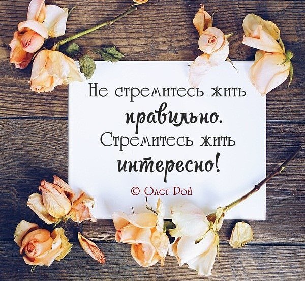   ,    . - 20  2018  22:54