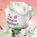 ���� ��������, �����������, 55 ��� - ��������� 19 ������� 2018 � ������ ���� ����������