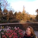 ���� �������, �����������, 62 ���� - ��������� 12 ������ 2018 � ������ ���� ����������