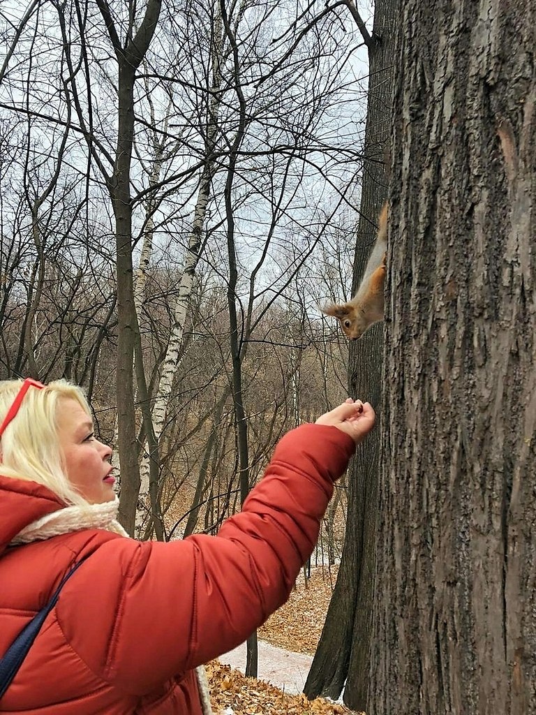 #прогулкапомосквестаней.. Собирались мы в музей Ермоловой Но единогласным решением собравшейся, ...
