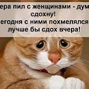 ���� ����, �������� - ��������� 24 ������� 2019 � ������ ������ ��������