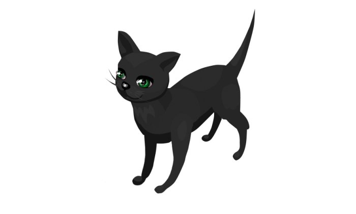      Wailet  BLACK CAT ( )     ...