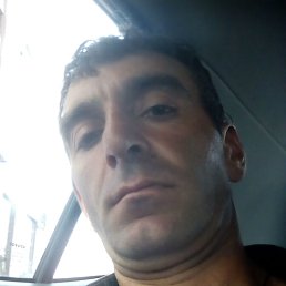 ������, �����-���������, 41 ���