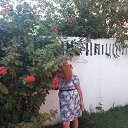 ���� �������, �������, 49 ��� - ��������� 11 ������ 2018 � ������ ���� ����������