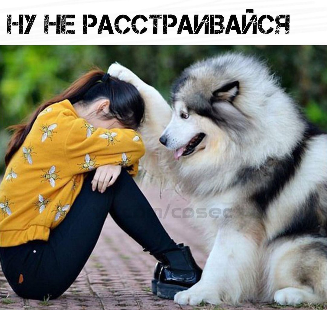 ����� �������� - 10 ����� 2019 � 16:51