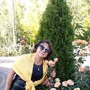 ���� ����, ��������� - ��������� 25 �������� 2018 � ������ ���� ����������