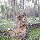 ���� ��������, �����������, 41 ��� - ��������� 17 �������� 2018 � ������ ���� ����������