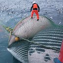 ���� ��������, ������� - ��������� 30 ���� 2018 � ������ �������