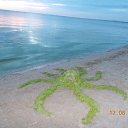 ���� ������, ������ - ��������� 26 ������� 2018 � ������ ��� �����������, ��������������/�������� 2017�