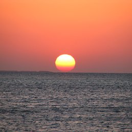 �����, �����������, 59 ���