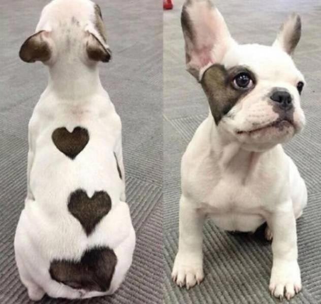 ��������� ������