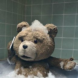 ���� ������, �����-���������, 38 ��� - ��������� 13 ������ 2019