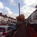  Dainius, , 51  -  22  2018   