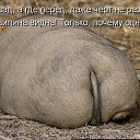 ���� �������, ������, 56 ��� - ��������� 11 ������� 2018 � ������ ������ ��������