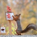 ���� �����, ������ - ��������� 15 ������� 2018 � ������ ���� ����������