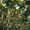 ���� ��������, �������, 60 ��� - ��������� 31 ������� 2018 � ������ ���� ����������