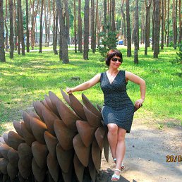 �������, �������, 48 ���