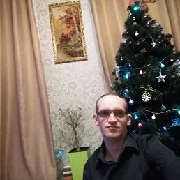 ������, �������, 41 ���