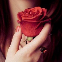 �����, �������