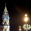  , -, 79  -  29  2018    2019 ,-