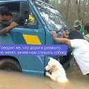 ���� �����������..., ������� - ��������� 6 ����� 2019 � ������ ���� ����������