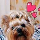 ���� ��������, �������, 55 ��� - ��������� 25 �������� 2018 � ������ ���� ����������