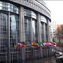 ���� Harun, ��������, 72 ���� - ��������� 9 ������� 2018 � ������ �bruxelles�