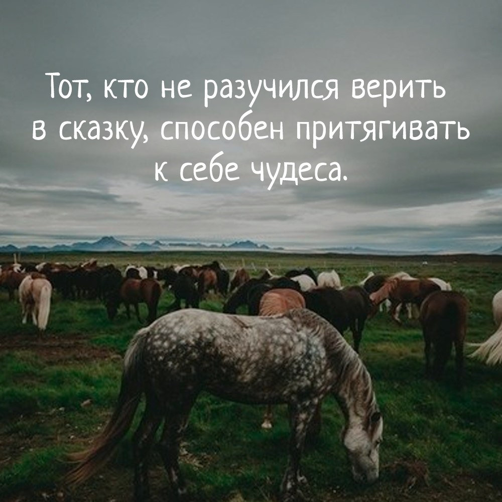  - 15  2018  16:39