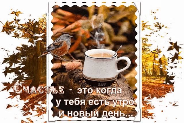- Доброе утро! -.С ДОБРЫМ УТРОМ! Вы проснулись?Чуть зарядки, душ прохладный!Вот и всё! Вы ...
