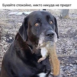 ���� ������, �����������, 54 ���� - ��������� 9 ������� 2018