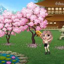 ���� �����, ������ ���, 31 ��� - ��������� 1 ����� 2019 � ������ �Tropikania�