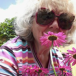 ���� ������, ����������� - ��������� 3 ������ 2019