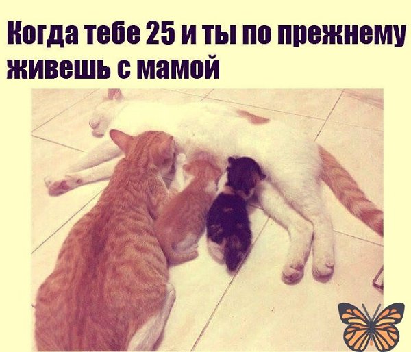 ������ �������� &copy; - 4 ������� 2018 � 16:46