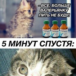 ������, �����������, 38 ���