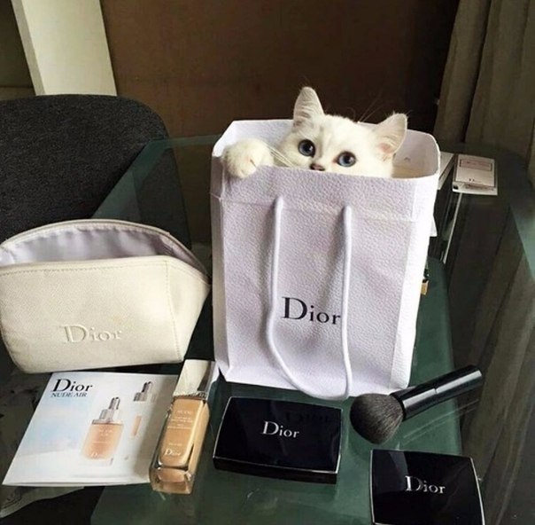    Dior