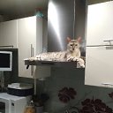 ���� �����... �� ������� ���� ����������