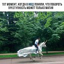 ���� �������, ������, 48 ��� - ��������� 5 ������ 2019 � ������ ������ ��������