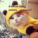 ���� Alina, �����-���������, 57 ��� - ��������� 9 ����� 2019 � ������ ������ ��������