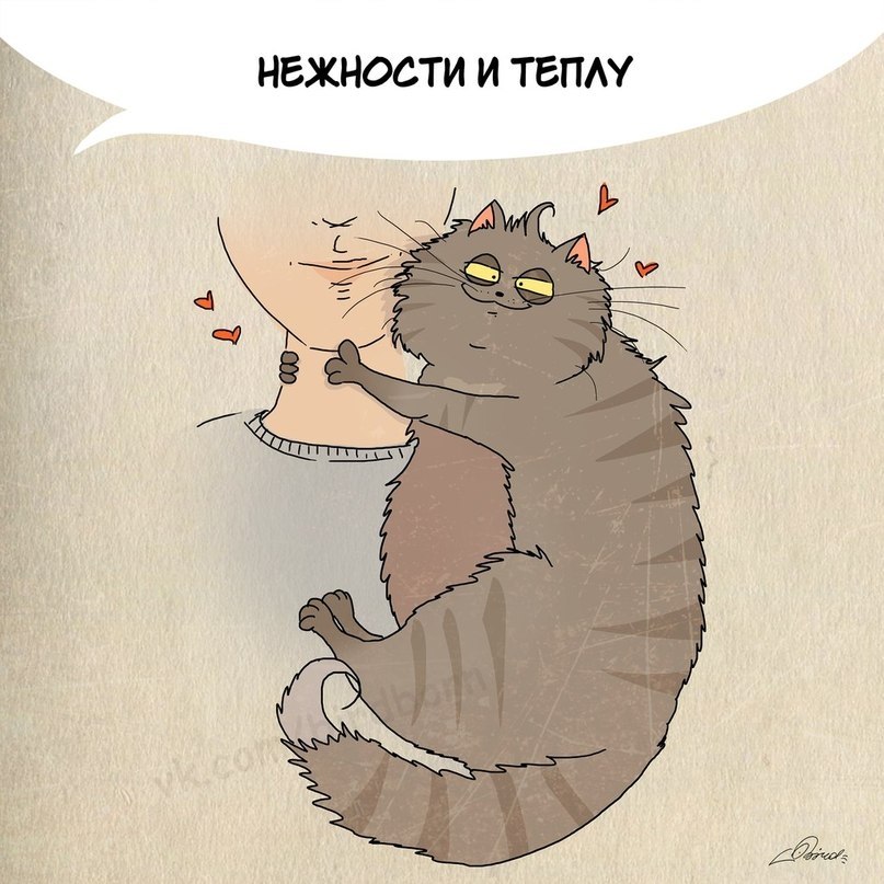    . - 5